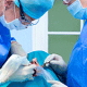 The anatomy of implant failures